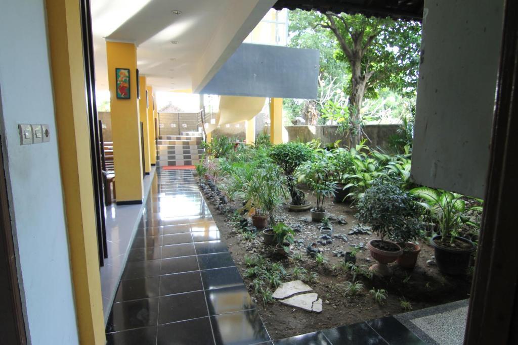 Ct1 Bali Bed & Breakfast Kuta Lombok Kültér fotó